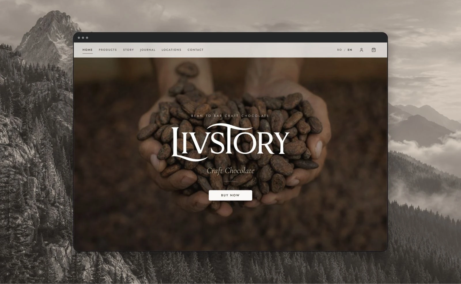 Livstory — website desktop și mobil